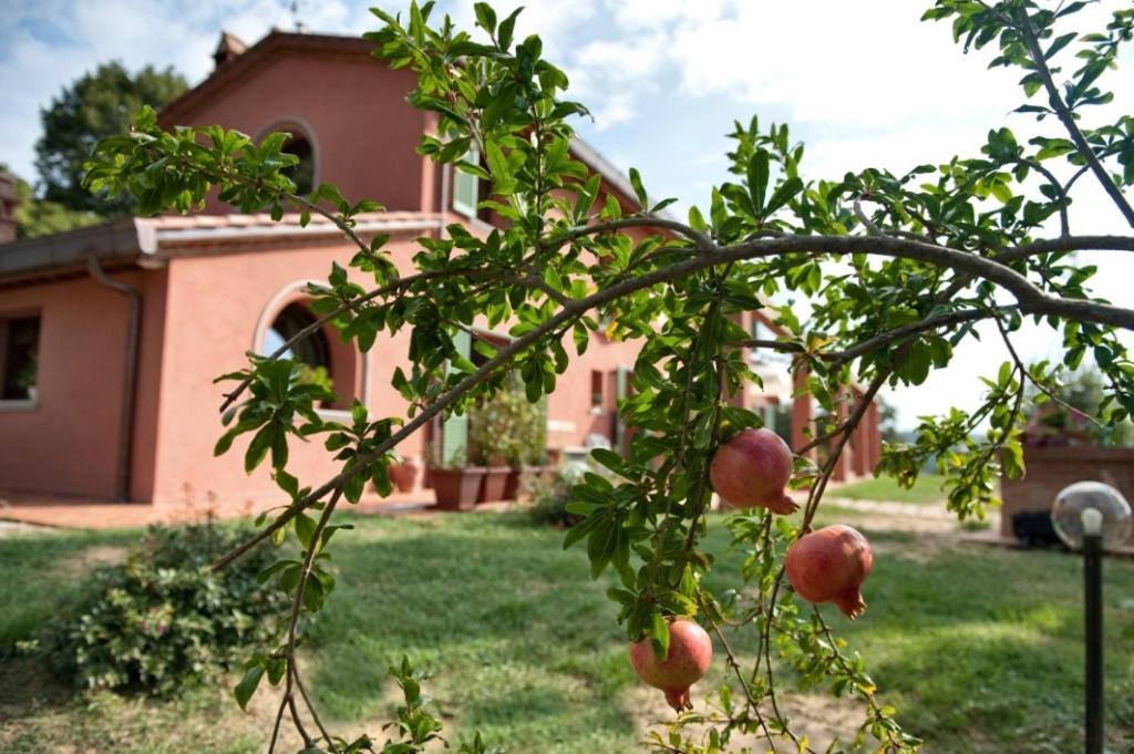 Podere Chiaromonte Palaia Exterior foto
